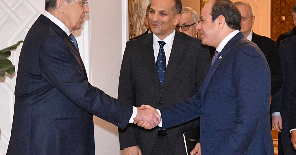 Egypt's el-Sissi urges UN Security Council reforms for Africa's larger role