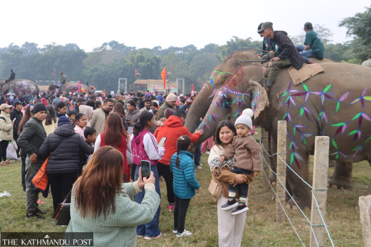 Elephant festival revives Sauraha tourism after prolonged slump