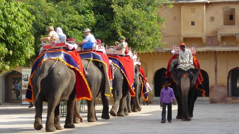 Elephant and Tourism Festival in Sauraha Kicks Off with a Spectacular Elephant Parade, Cultural Perf...