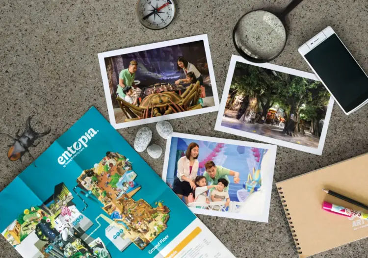 Flat lay of Entopia brochures and photos showing families exploring insect exhibits