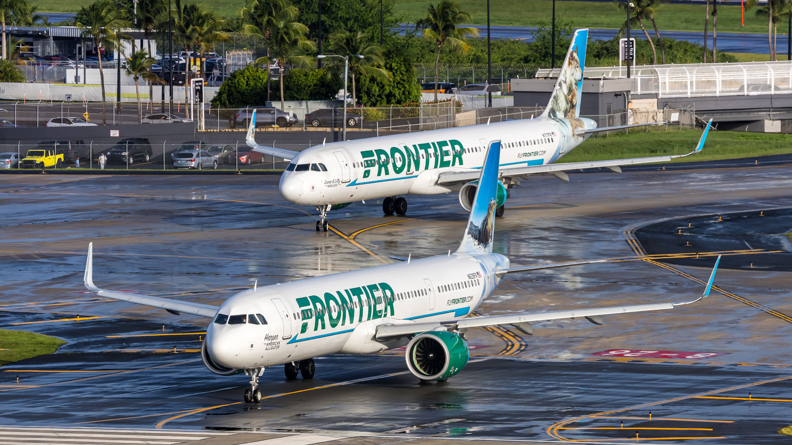 Frontier Airlines Gives Canadian Snowbirds A New Way To Boycott U.S. Travel From $49 By Following Ai...