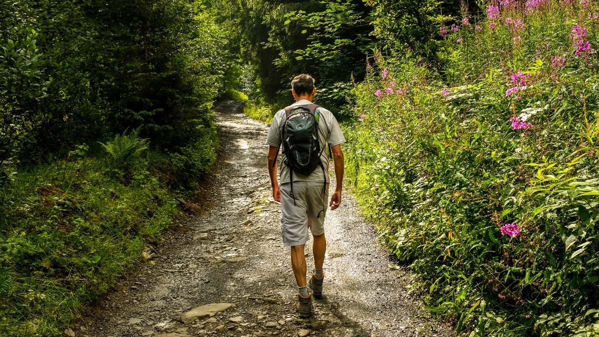 Harper's Bazaar India