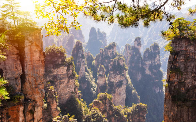 India-China travel finds new momentum post direct flights resumption | TTG Asia