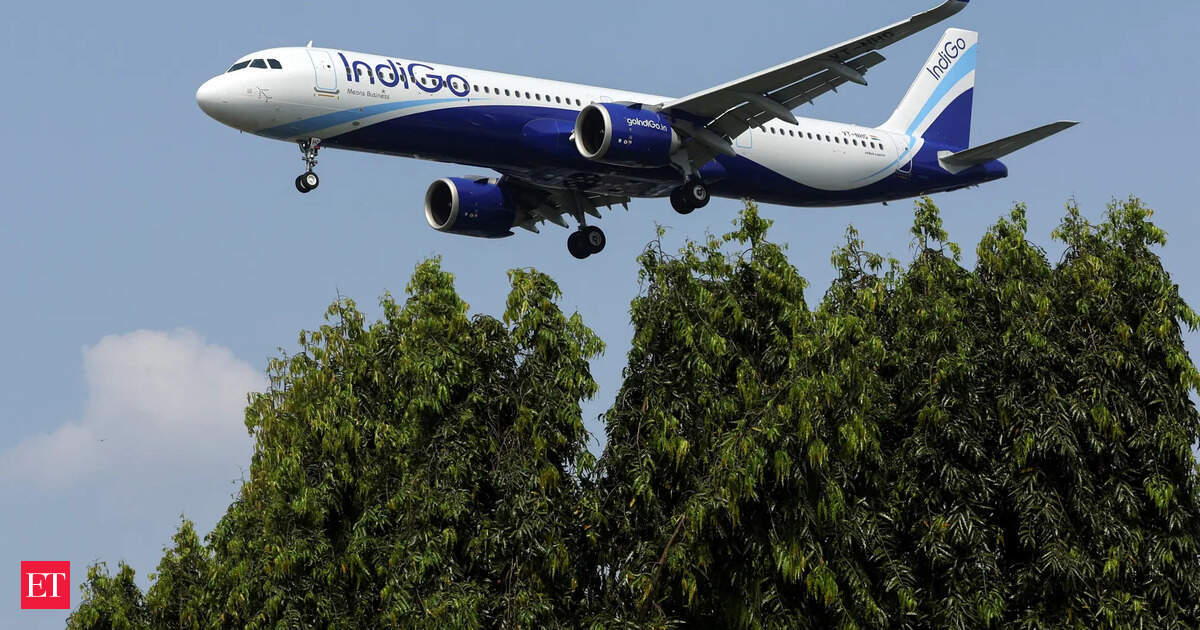 India’s aviation crisis is all about too big to tame