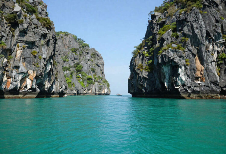 Japan Unites With India, Malaysia, Sri Lanka, China, Singapore, And More Countries In Asia To Propel...