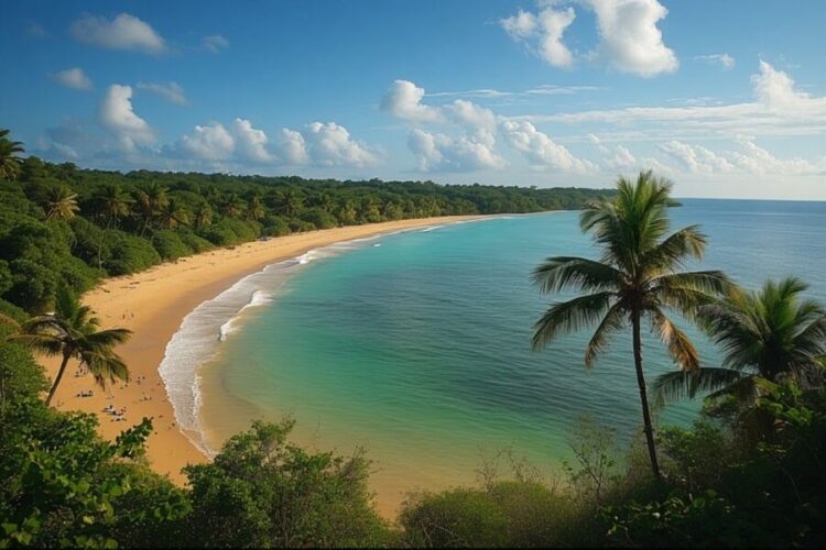 Japan And South Korea Joins Thailand, Singapore, Malaysia, And Others In Propelling China Tourism Gr...