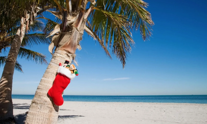 A Christmas stocking hanging on a palm tree.