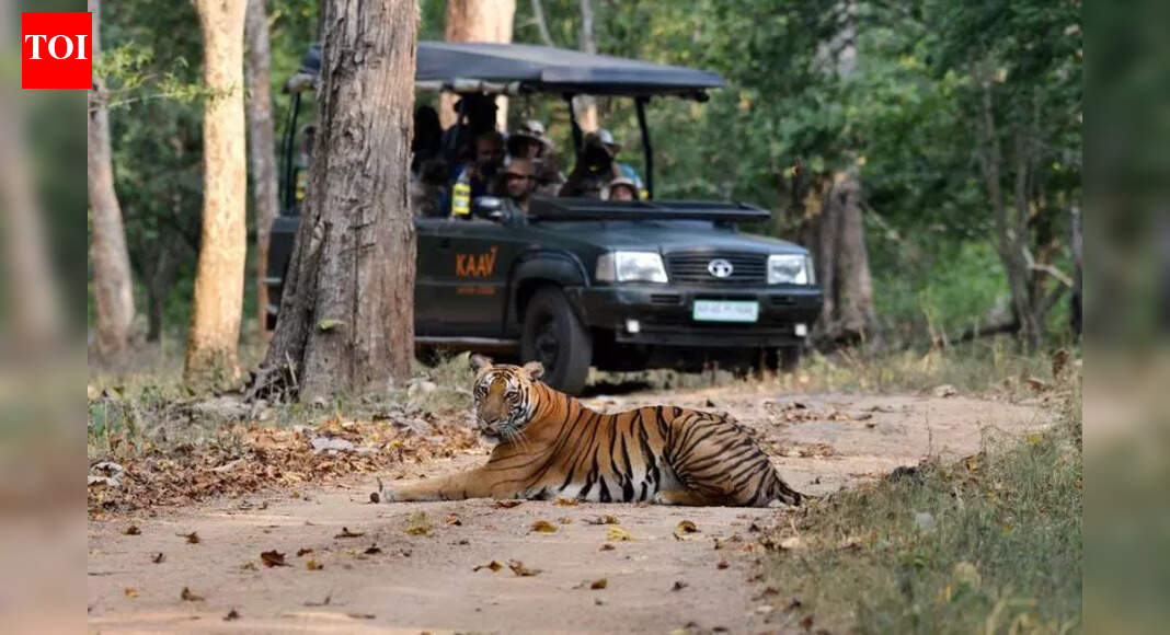 Tourism takes a hit in Mysuru and Chikkamagaluru as Kodagu enjoys New Year boom | Mysuru News