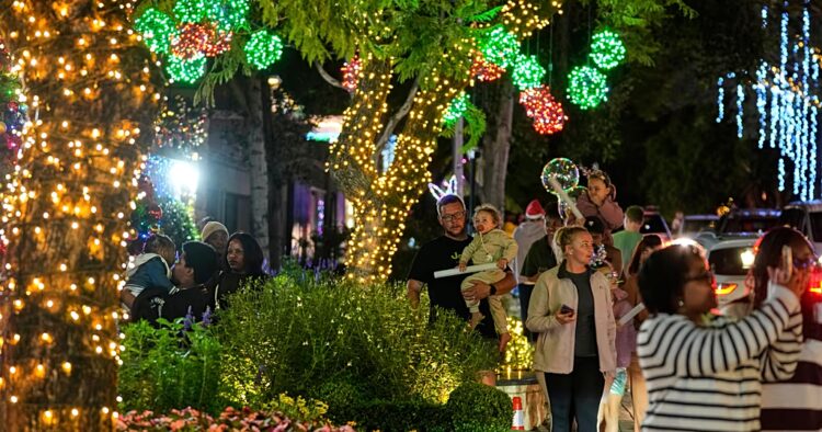 Pretoria's Lawley Street lights up for Christmas