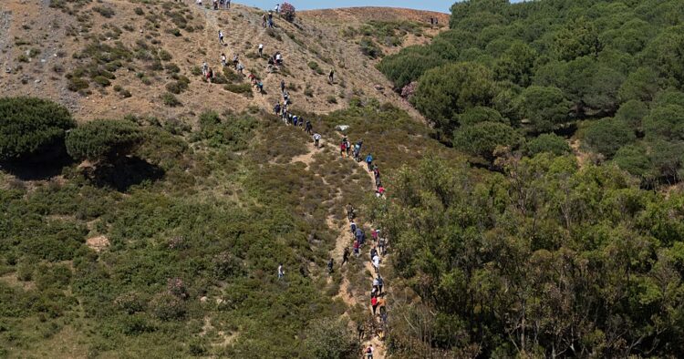 Rare bird species thrives in Morocco after succesful breeding program