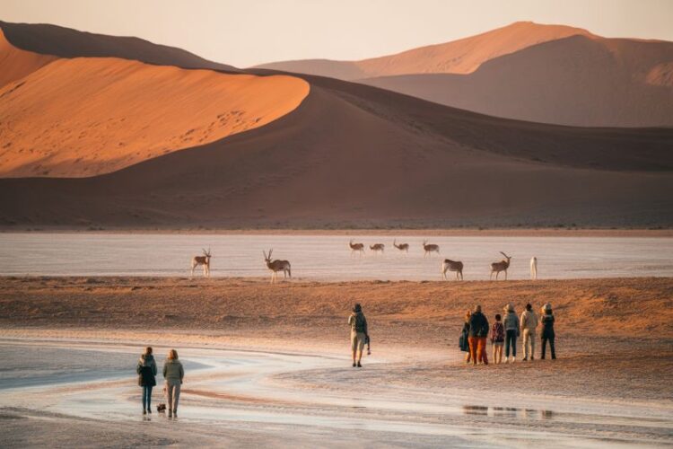 Coastal and Inland Destinations See Increased Interest in Namibia’s Holiday Travel Trends, Get the D...