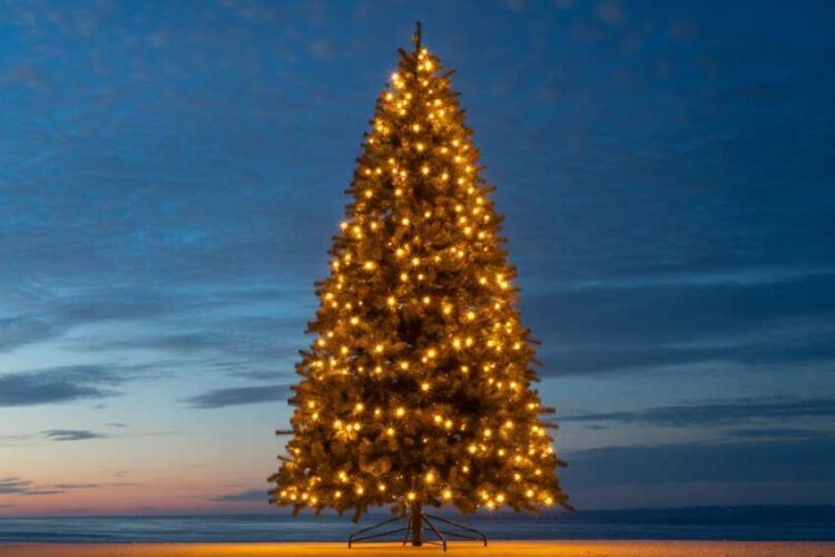 Nasr school in hyderabad unveils a towering 50-foot christmas tree, becoming a festive attraction for tourists. Learn about its cultural impact on local tourism.