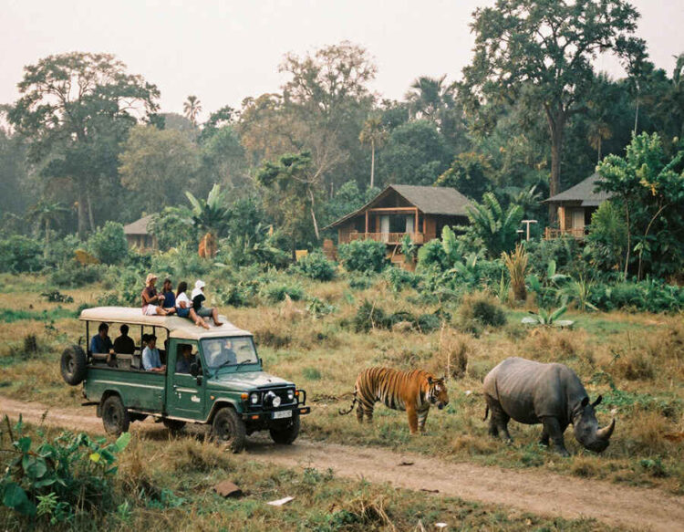 Nepal’s Chitwan National Park Thrives as Global Tourists Flock to Experience Unmatched Wildlife Safa...