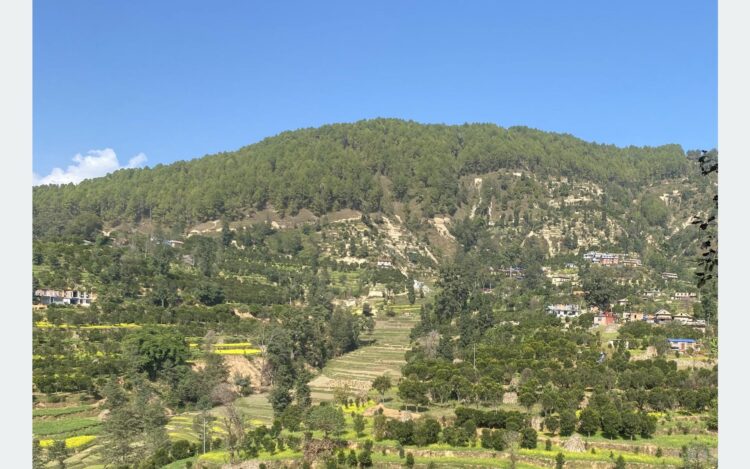 ‘Orange-Hiking’ launched to promote agriculture and tourism in Kavre « Khabarhub