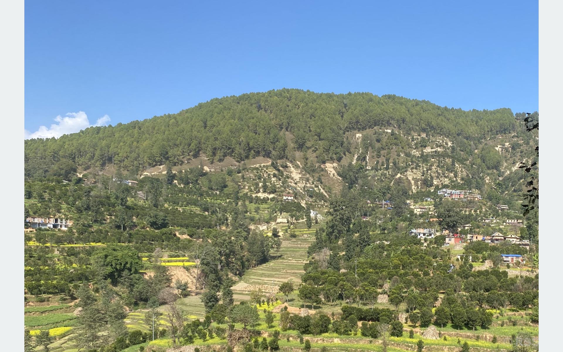 ‘Orange-Hiking’ launched to promote agriculture and tourism in Kavre « Khabarhub