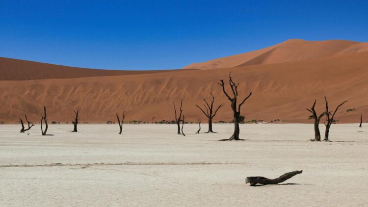 Self-drive ban at Sossusvlei postponed