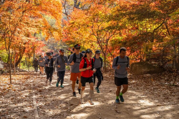 Outdoor boom: Seoul Hiking Week sees sevenfold jump in foreign visitors