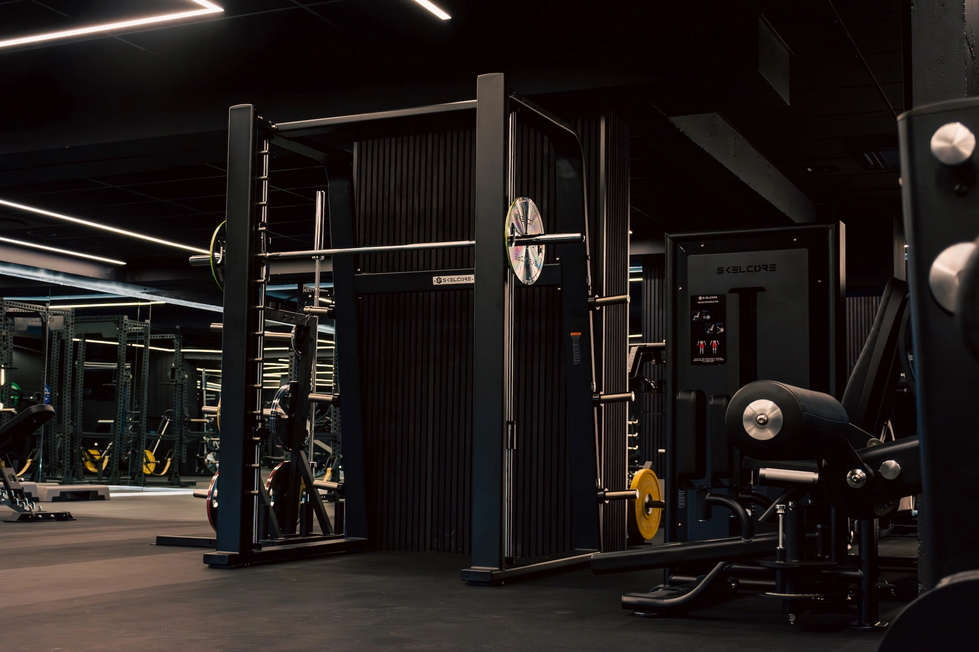 Skelcore and the Future of Fitness Spaces: Redefining Gyms, Hospitality and Wellness Tourism