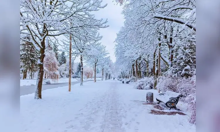 Lack of Snowfall Hits Winter Tourism in Jammu and Kashmir