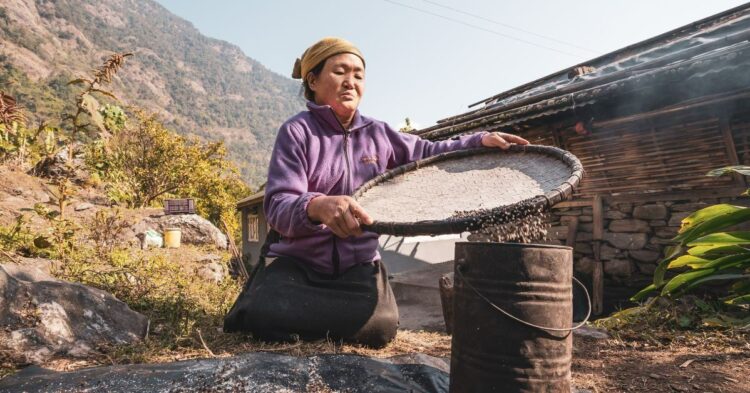 Sustainable Travel Companies in India Supporting Local Livelihoods