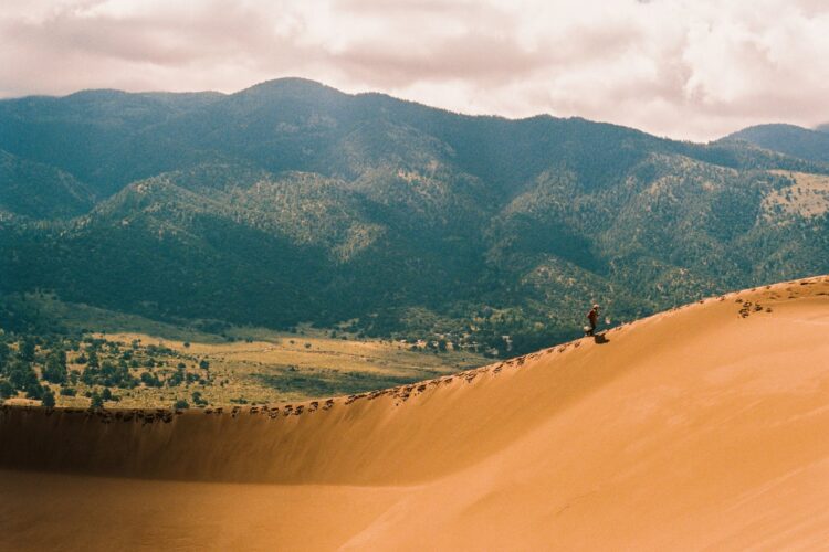 TPG Trends Report: The evolution of where people go and stay