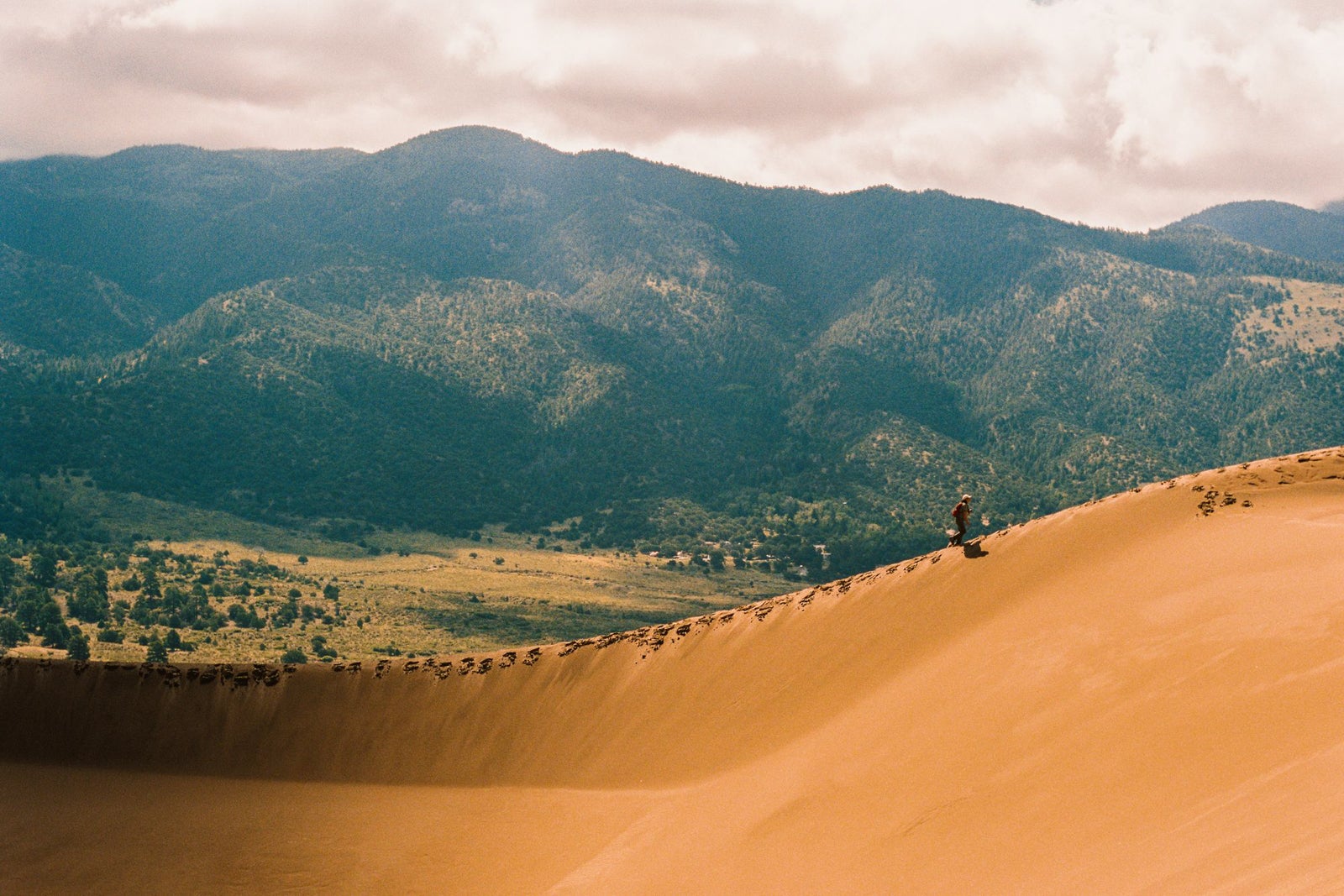 TPG Trends Report: The evolution of where people go and stay