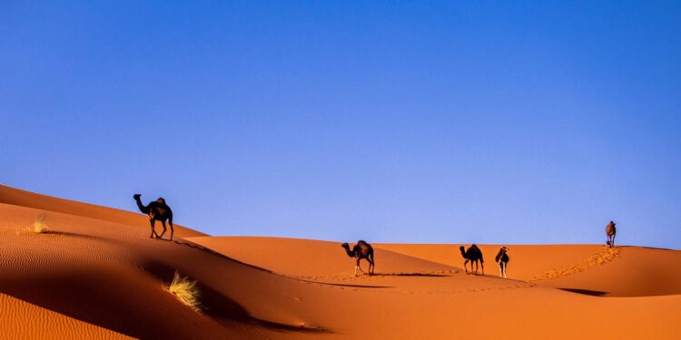 The 16 travel trends to update your bucket list with in 2026