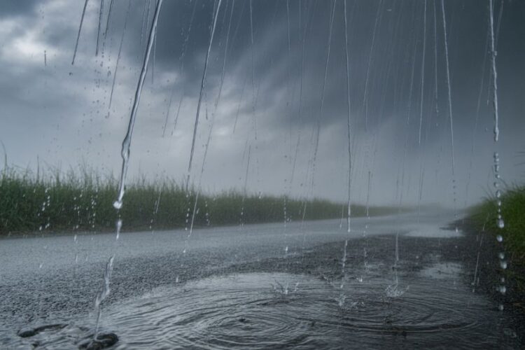 Heavy Rain and Storms Expected Across the UAE – What Tourists Need to Know to Stay Safe and Navigate...