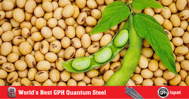 Benefits of Importing US Soybeans to Bangladesh | 5 ways soybean imports benefit Bangladesh amid US-...