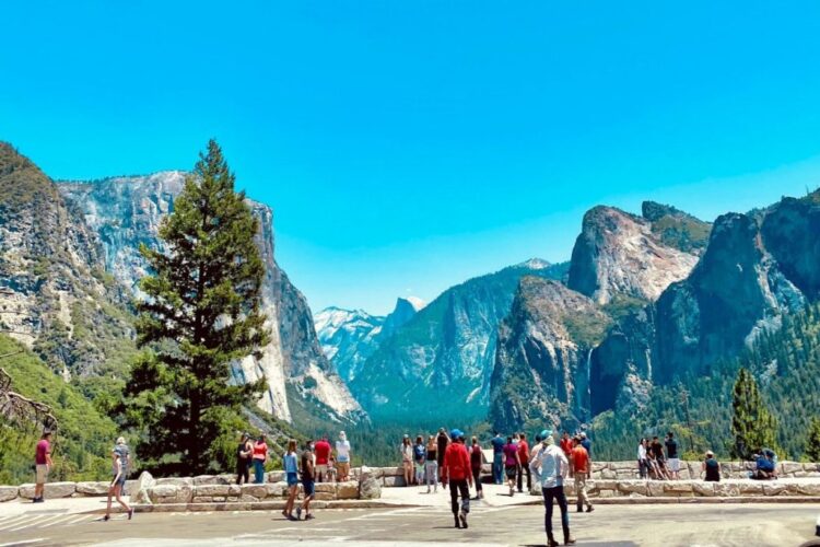 $40, $100, $250: U.S. Fees Are Adding Up for Travelers
