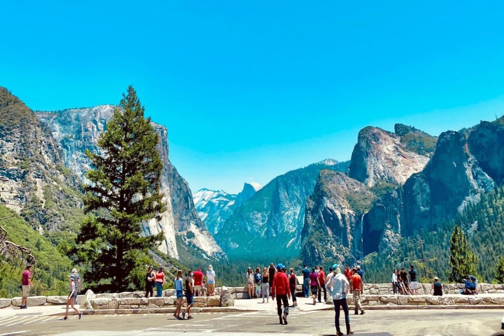 $40, $100, $250: U.S. Fees Are Adding Up for Travelers
