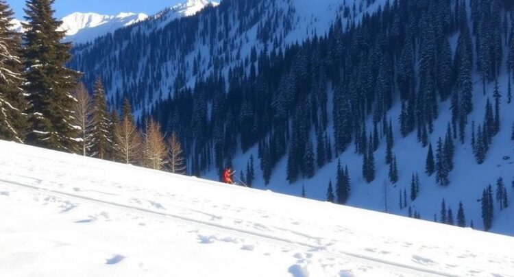 Uttarakhand Launches Winter Tourism Initiatives with Snow Leopard Sightings, Heli-Skiing and Himalay...