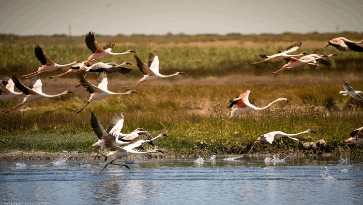 West Coast town of Velddrif expecting 30 000 holidaymakers - SABC News