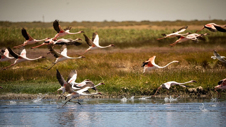 West Coast town of Velddrif expecting 30 000 holidaymakers - SABC News