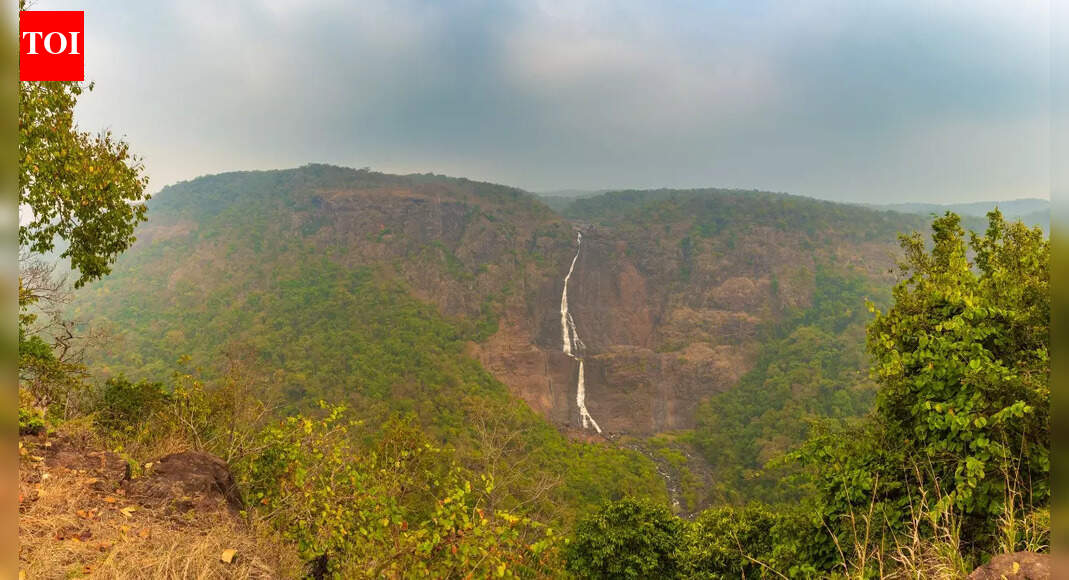 Travellers take a winter reroute | Bhubaneswar News