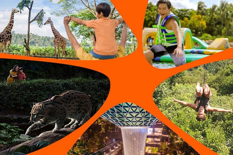 New year, new memories: Check off your Singapore bucket list for less this 2026