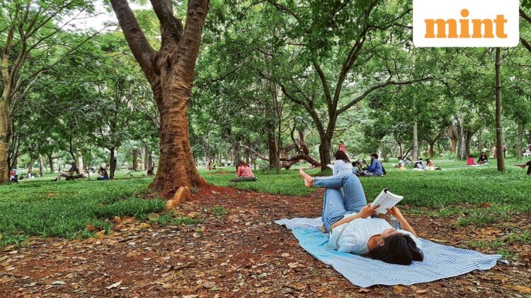 Travelling for some peace and quiet will be one of the big trends of 2026 and will take the form of reading retreats and glowcations.