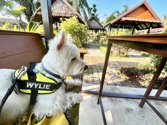 New Year: Travel trends shaping 2026