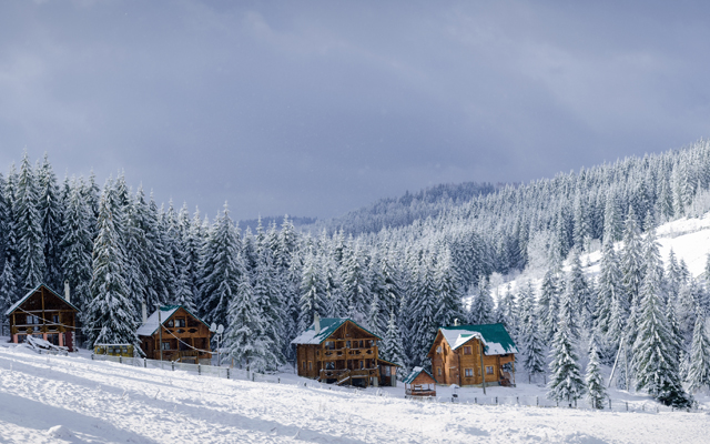 Complex luxury trips keep travel advisors busy despite AI planning tools | TTG Asia