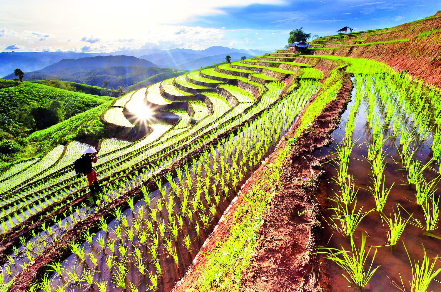 Farming flourishes in Kalaw’s ladder-type agricultural system, Shan State.
