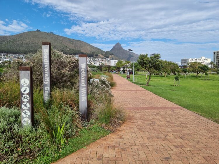 Pocket-friendly ideas to explore Cape Town and beat Janu-worry