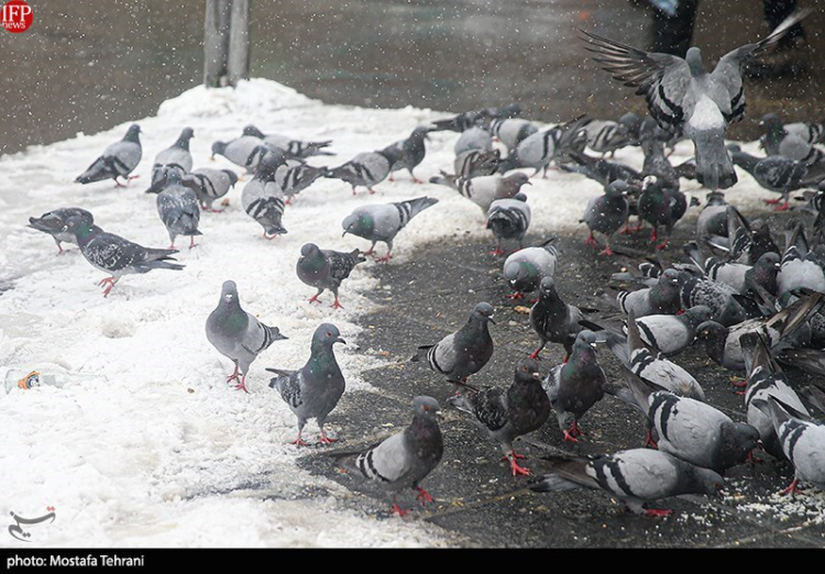 Ardabil Airport Records Coldest Temperature In Iran At Minus 27 Degrees