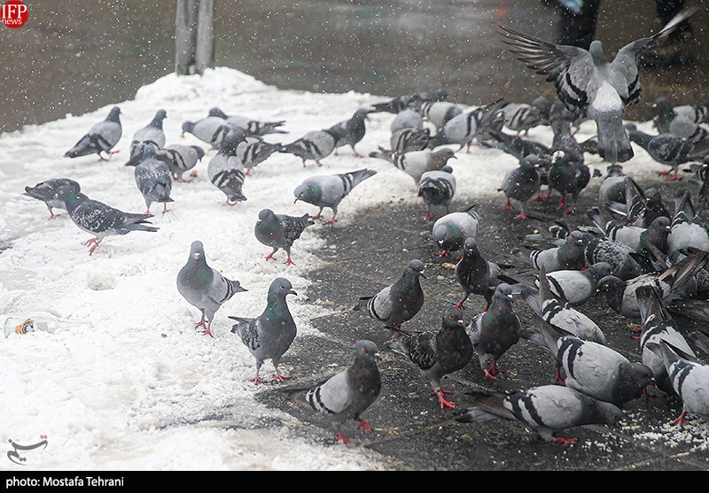 Ardabil Airport Records Coldest Temperature In Iran At Minus 27 Degrees