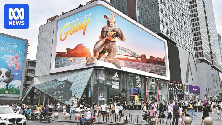 Australia warned recovering Chinese tourism market may cool in 2026