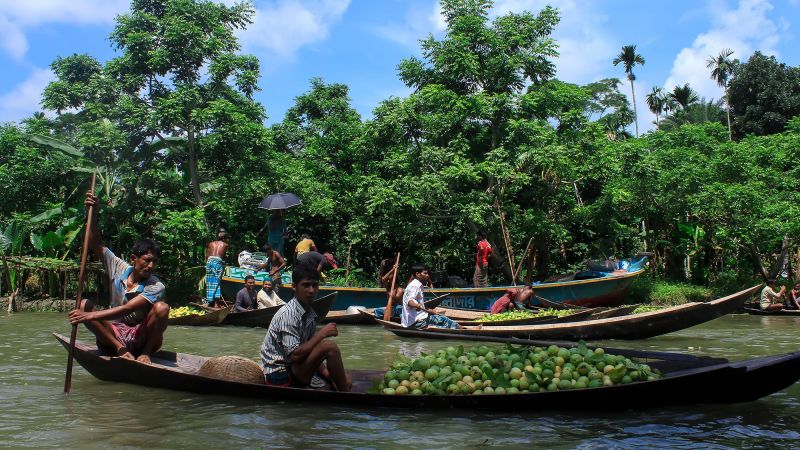 It’s got tigers, tea plantations and beaches — so why does Bangladesh struggle to attract tourists?