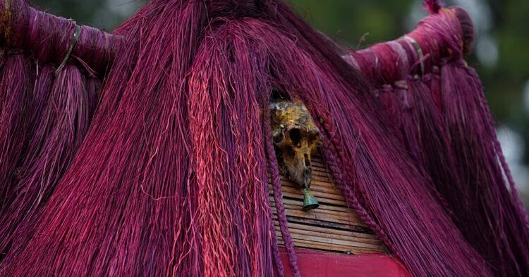 Thousands gather to mark Benin's Vodun Days showcasing local culture