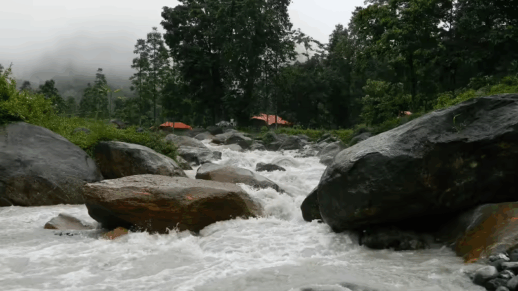 Promoting tourism in the Dooars