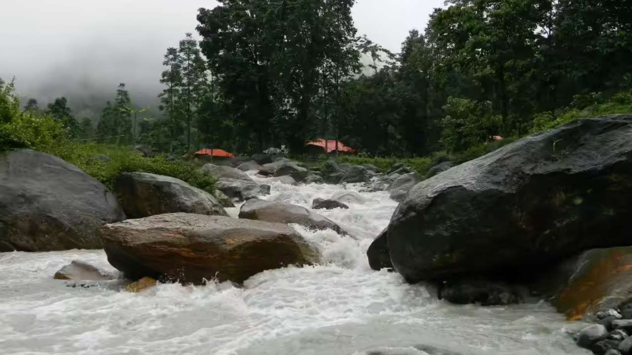 Promoting tourism in the Dooars