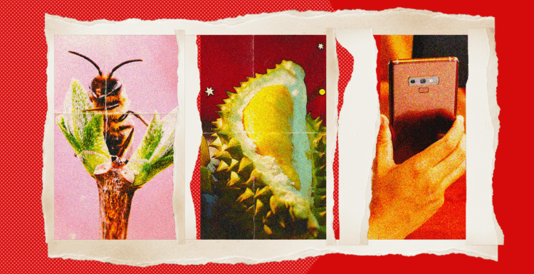 Oh no, not another “Traveller Trend” piece: Shut up and listen to me