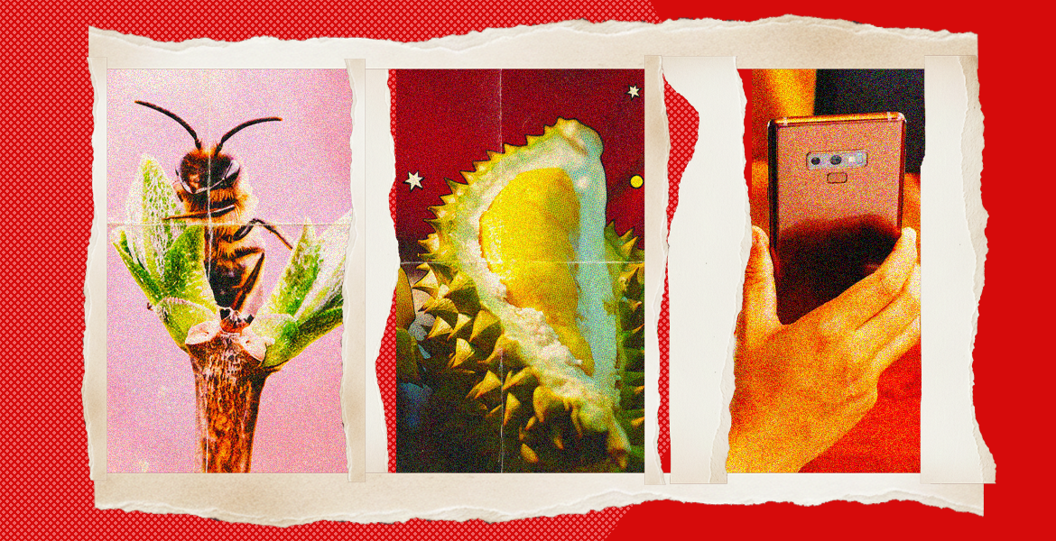 Oh no, not another “Traveller Trend” piece: Shut up and listen to me